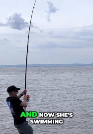 Image result for Bristol Channel Sea Fishing