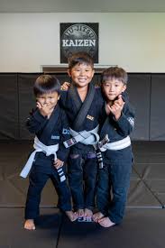 Image result for kyokujitsu Kai