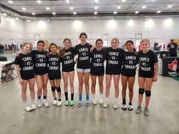 Image result for Halton Netball Club