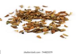 Attēlu rezultāti vaicājumam “Valeriana officinalis fruit”