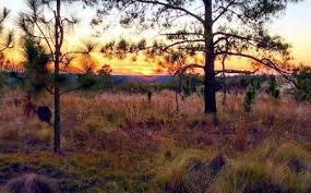 Image result for Lillington Bowling Club