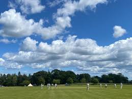 Image result for Tillside Cc
