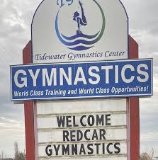 Image result for Redcar Gymnastics Club