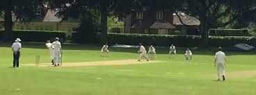 Image result for Churt Cricket Club