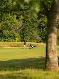 Image result for Sutton Green Golf Club