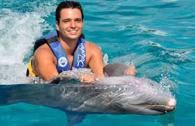Image result for Adventure Dolphin