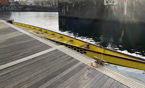 Image result for Amathus Dragon Boat Club