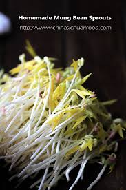 Image result for bean sprout