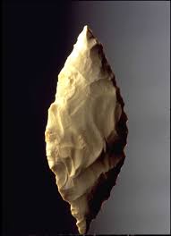 Image result for feuille-laurier-silex