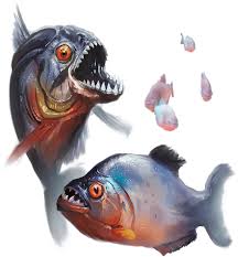 Image result for Prestatyn Piranhas