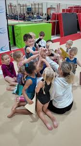 Image result for West Lothian Artistic Gymnastic Club