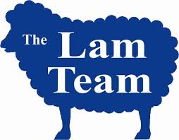 Image result for Teamsheep