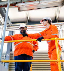 Image result for Netts