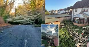 Image result for Gateshead Storm