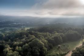 Image result for Reigate Priory Bowmen