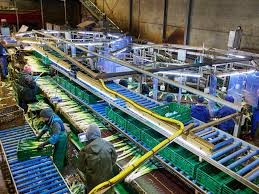 Image result for Heemtuin Rucphen