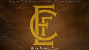 Image result for Capel Football Club