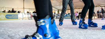 Image result for Milton Keynes Ice Skating Club