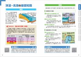 Image result for 高潮 津波 別物