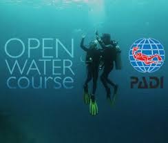 Image result for Breakwater Divers