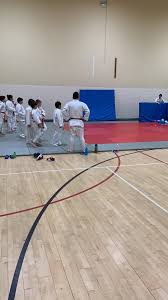 Image result for Renrukan school of continuous attack