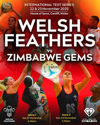 Image result for Treforus Netball Club