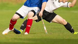 Image result for World of Shinty