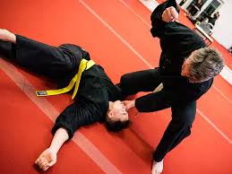 Image result for GBMAA EPSOM AND LEATHERHEAD MARTIAL ARTS ACADEMY