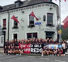 Image result for St Bronagh`s Gaa