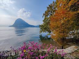 Image result for "Parco Ciani"