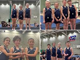 Image result for Hawth Gymnastics, Crawley