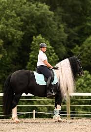 Image result for Patchett`s Green Riding Club