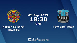 Image result for Chester Le Street Town Fc