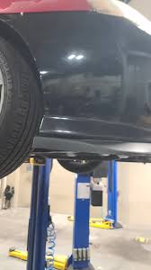 Image result for tuscani tibu...start=0