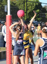 Image result for Blue Jays Netball Club