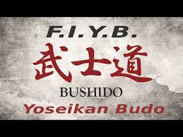 Image result for Yoseikan Budo England