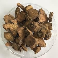 Attēlu rezultāti vaicājumam “Rumex obtusifolius fruit”