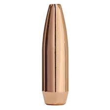 Image result for Basingstoke Bullets