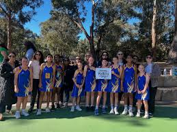Image result for Waverley Netball Club