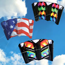 Image result for Baiter Power Kite