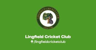 Image result for Lingfield Cricket Club