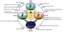 400px-Biological_clock_human. ...