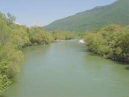 Image result for Squalius vardarensis