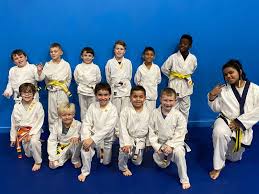 Image result for Skillz Martial Arts