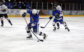 Image result for Havering Skater Hockey Club