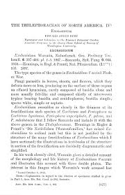 Attēlu rezultāti vaicājumam “Exobasidium cassandrae”