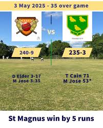 Image result for Lynchmere Cricket Club