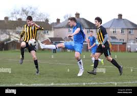 Image result for Old Wokingians Football Club