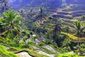 Bali Tours &amp; Bali Travel Guide