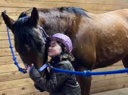 Image result for Carman Stables